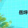 岳坪村（關于岳坪村簡介）