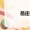 岳莊村（關于岳莊村簡介）