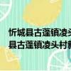 忻城縣古蓬鎮凌頭村新時代文明實踐志愿服務隊（關于忻城縣古蓬鎮凌頭村新時代文明實踐志愿服務隊介紹）