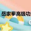 岳家拳高級功法（關于岳家拳高級功法簡介）