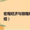 宏觀經濟與微觀經濟分析（關于宏觀經濟與微觀經濟分析介紹）