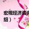 宏觀經濟咨詢報告（關于宏觀經濟咨詢報告介紹）