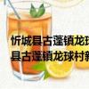 忻城縣古蓬鎮龍球村新時代文明實踐志愿服務隊（關于忻城縣古蓬鎮龍球村新時代文明實踐志愿服務隊介紹）