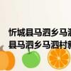 忻城縣馬泗鄉馬泗村新時代文明實踐志愿服務隊（關于忻城縣馬泗鄉馬泗村新時代文明實踐志愿服務隊介紹）
