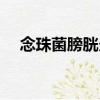 念珠菌膀胱炎（關于念珠菌膀胱炎介紹）