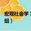 宏觀社會學 第4版（關于宏觀社會學 第4版介紹）