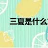 三夏是什么意思（三夏具體指的是什么）