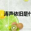 濤聲依舊是什么意思（濤聲依舊簡單介紹）