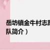 岳坊鎮金牛村志愿者服務隊（關于岳坊鎮金牛村志愿者服務隊簡介）