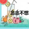 念念不想忘（關于念念不想忘介紹）
