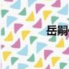 岳嗣儀（關于岳嗣儀簡介）