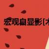 宏觀自顯影[術]（關于宏觀自顯影[術]介紹）