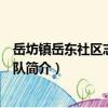 岳坊鎮岳東社區志愿服務隊（關于岳坊鎮岳東社區志愿服務隊簡介）