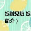 捉賊見贓 捉奸見雙（關于捉賊見贓 捉奸見雙簡介）