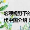 宏觀視野下的清代中國（關于宏觀視野下的清代中國介紹）