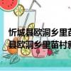 忻城縣歐洞鄉里苗村新時代文明實踐志愿服務隊（關于忻城縣歐洞鄉里苗村新時代文明實踐志愿服務隊介紹）