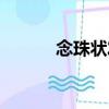 念珠狀發（關于念珠狀發介紹）