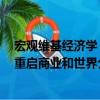宏觀維基經濟學：重啟商業和世界（關于宏觀維基經濟學：重啟商業和世界介紹）