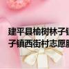 建平縣榆樹林子鎮西街村志愿服務小隊（關于建平縣榆樹林子鎮西街村志愿服務小隊介紹）