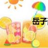 岳子豪（關于岳子豪簡介）