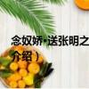 念奴嬌·送張明之赴京西幕（關于念奴嬌·送張明之赴京西幕介紹）
