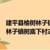 建平縣榆樹林子鎮樹底下村志愿服務小隊（關于建平縣榆樹林子鎮樹底下村志愿服務小隊介紹）