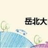 岳北大白（關于岳北大白簡介）