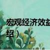 宏觀經濟效益會計（關于宏觀經濟效益會計介紹）