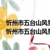 忻州市五臺山風景名勝區元峰旅游集散中心有限公司（關于忻州市五臺山風景名勝區元峰旅游集散中心有限公司介紹）