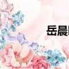 岳晨曦（關于岳晨曦簡介）