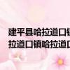 建平縣哈拉道口鎮哈拉道口村志愿服務小隊（關于建平縣哈拉道口鎮哈拉道口村志愿服務小隊介紹）