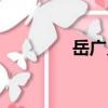岳廣義（關于岳廣義簡介）