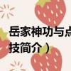 岳家神功與點穴絕技（關于岳家神功與點穴絕技簡介）