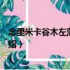念里米卡谷木左落自然村（關于念里米卡谷木左落自然村介紹）