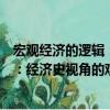 宏觀經濟的邏輯：經濟史視角的觀察（關于宏觀經濟的邏輯：經濟史視角的觀察介紹）