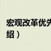 宏觀改革優先理論（關于宏觀改革優先理論介紹）