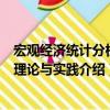 宏觀經濟統計分析的理論與實踐（關于宏觀經濟統計分析的理論與實踐介紹）