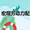宏觀勞動力配置（關于宏觀勞動力配置介紹）