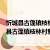 忻城縣古蓬鎮枝林村新時代文明實踐志愿服務隊（關于忻城縣古蓬鎮枝林村新時代文明實踐志愿服務隊介紹）