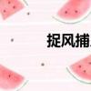 捉風捕月（關于捉風捕月簡介）