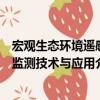 宏觀生態環境遙感監測技術與應用（關于宏觀生態環境遙感監測技術與應用介紹）