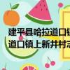 建平縣哈拉道口鎮上新井村志愿服務小隊（關于建平縣哈拉道口鎮上新井村志愿服務小隊介紹）