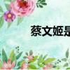 蔡文姬是誰（關于蔡文姬的簡介）