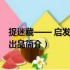 捉迷藏—— 啟發童書館出品（關于捉迷藏—— 啟發童書館出品簡介）