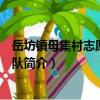 岳坊鎮母集村志愿者服務隊（關于岳坊鎮母集村志愿者服務隊簡介）