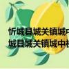 忻城縣城關鎮城中社區新時代文明實踐志愿服務隊（關于忻城縣城關鎮城中社區新時代文明實踐志愿服務隊介紹）