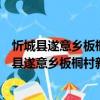忻城縣遂意鄉板桐村新時代文明實踐志愿服務隊（關于忻城縣遂意鄉板桐村新時代文明實踐志愿服務隊介紹）