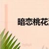 暗戀桃花源影評（優秀影評請查收）