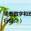 帶著數字和玫瑰旅行（關于帶著數字和玫瑰旅行簡介）
