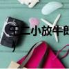 王二小放牛郎歌詞（王二小放牛郎完整版歌詞）